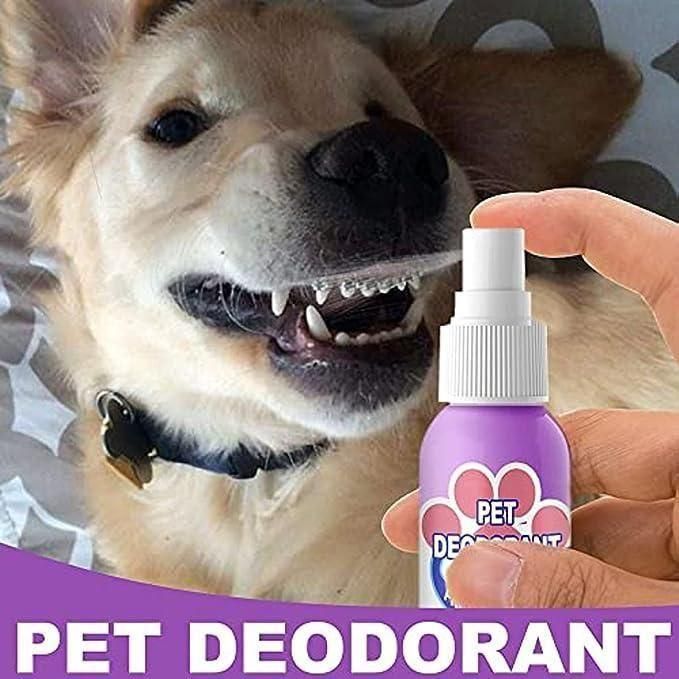 Pet Dental Spray Dogs & Cats (Pack of 2)